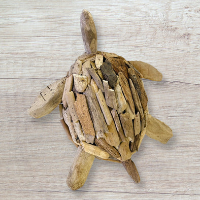 Driftwood Turtle