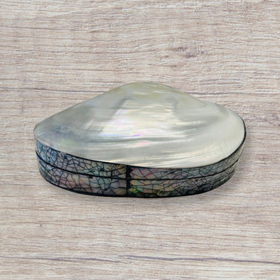 River Clam Top Box With Cracked Black Abalone Accents